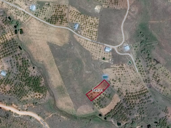 Doğanın Kalbinde Huzur Sizi Bekliyor! 