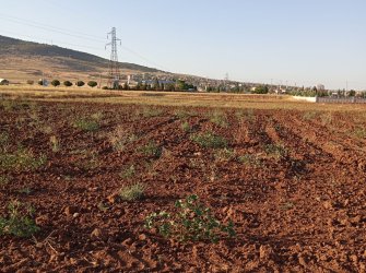 GÜNEYSINIRDA İMARLI ARSA 